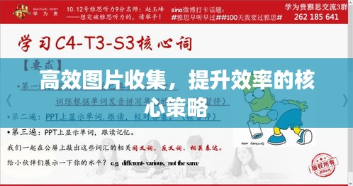 高效圖片收集，提升效率的核心策略
