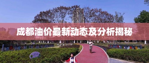 成都油價最新動態及分析揭秘