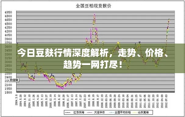 今日豆麩行情深度解析，走勢、價格、趨勢一網打盡！