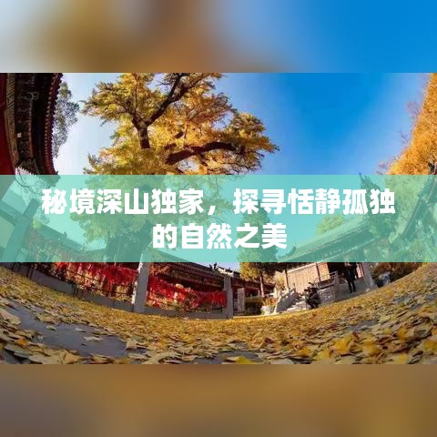 秘境深山獨家，探尋恬靜孤獨的自然之美