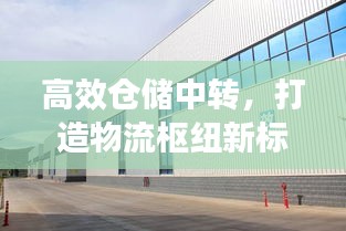 高效倉儲中轉，打造物流樞紐新標桿宣傳稿件！