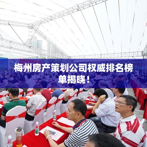梅州房產(chǎn)策劃公司權(quán)威排名榜單揭曉！