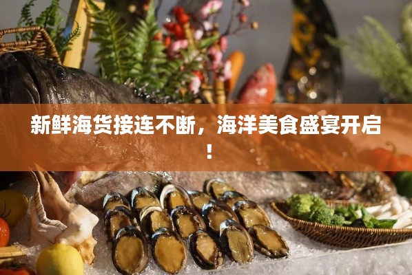 新鮮海貨接連不斷，海洋美食盛宴開啟！