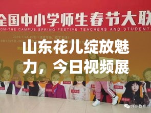 2025年5月24日