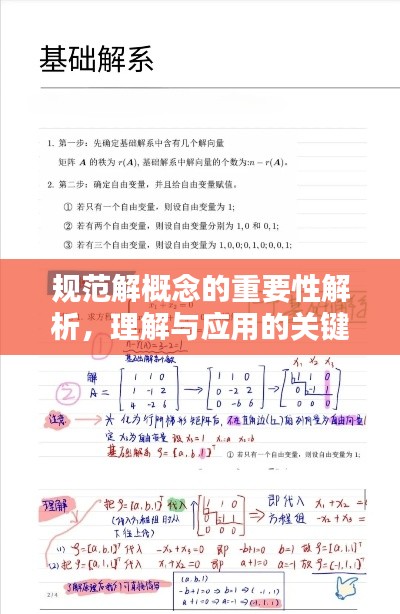 規(guī)范解概念的重要性解析，理解與應(yīng)用的關(guān)鍵基石