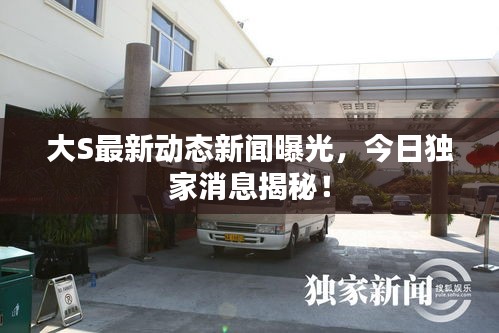 大S最新動態新聞曝光，今日獨家消息揭秘！