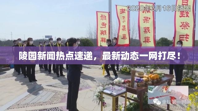 陵園新聞熱點速遞，最新動態一網打盡！