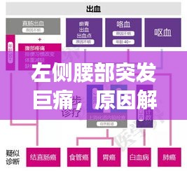 左側腰部突發巨痛，原因解析、診斷流程與治療方案