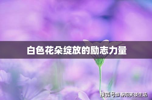 白色花朵綻放的勵志力量