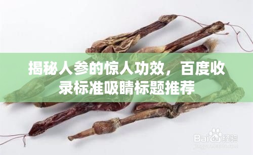 揭秘人參的驚人功效，百度收錄標準吸睛標題推薦