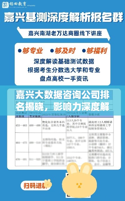 嘉興大數(shù)據(jù)咨詢公司排名揭曉，影響力深度解析