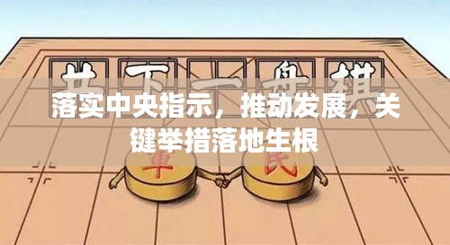 落實中央指示，推動發(fā)展，關(guān)鍵舉措落地生根