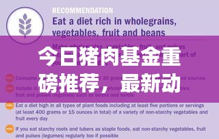 今日豬肉基金重磅推薦，最新動態(tài)、策略分析與盈利潛力探討