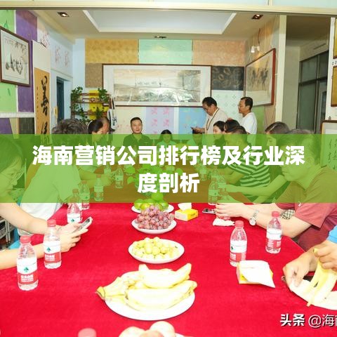 海南營銷公司排行榜及行業(yè)深度剖析