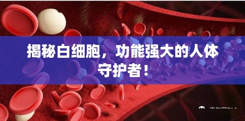 揭秘白細胞，功能強大的人體守護者！