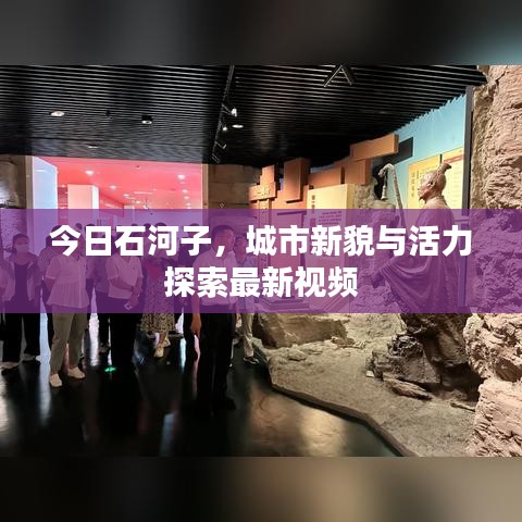 今日石河子，城市新貌與活力探索最新視頻