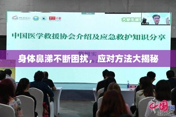 身體鼻涕不斷困擾，應(yīng)對(duì)方法大揭秘