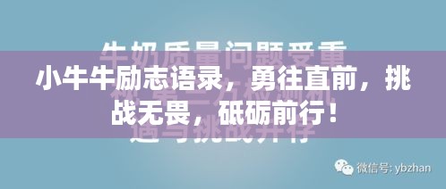 小牛牛勵(lì)志語錄，勇往直前，挑戰(zhàn)無畏，砥礪前行！