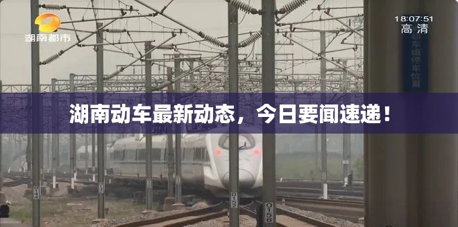 湖南動車最新動態，今日要聞速遞！