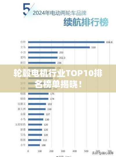 輪轂電機(jī)行業(yè)TOP10排名榜單揭曉！