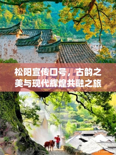 松陽(yáng)宣傳口號(hào)，古韻之美與現(xiàn)代輝煌共融之旅
