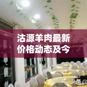 沽源羊肉最新價(jià)格動(dòng)態(tài)及今日行情解析