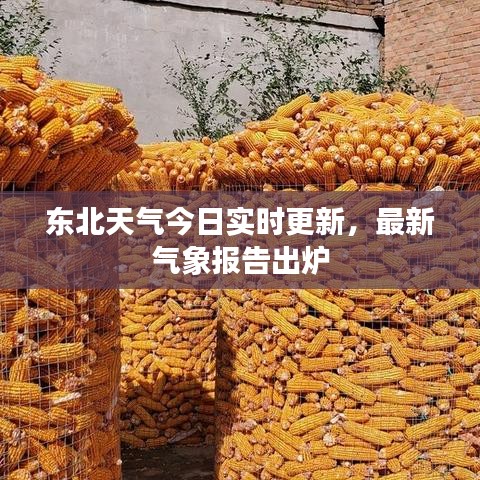 東北天氣今日實(shí)時(shí)更新，最新氣象報(bào)告出爐