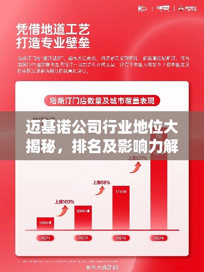 邁基諾公司行業(yè)地位大揭秘，排名及影響力解析