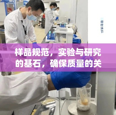 樣品規(guī)范，實驗與研究的基石，確保質(zhì)量的關(guān)鍵所在