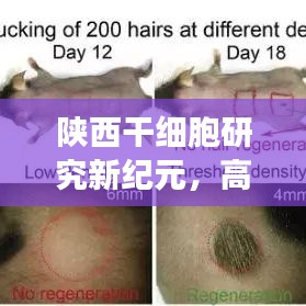 陜西干細胞研究新紀元，高效檢測引領干細胞應用新時代