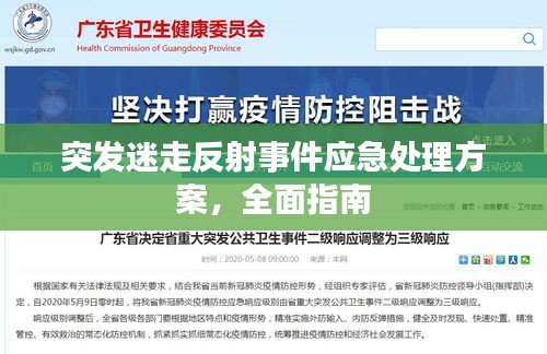 突發迷走反射事件應急處理方案，全面指南