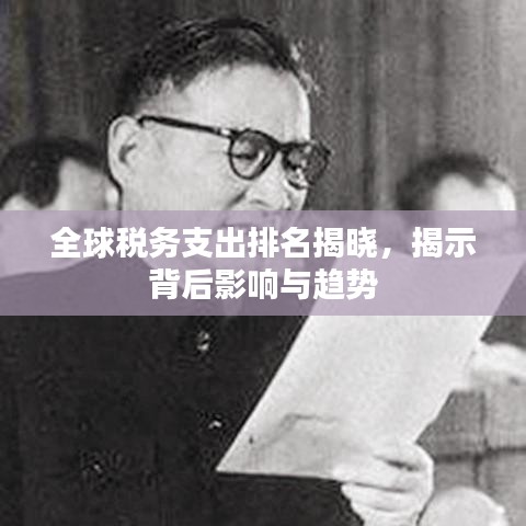 全球稅務支出排名揭曉，揭示背后影響與趨勢