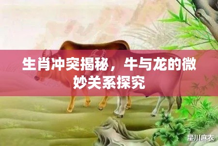 生肖沖突揭秘，牛與龍的微妙關(guān)系探究