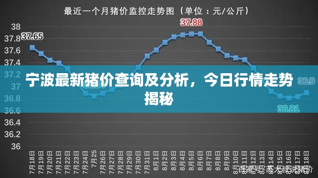 寧波最新豬價查詢及分析，今日行情走勢揭秘
