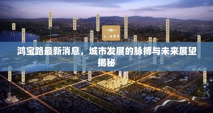 鴻寶路最新消息，城市發(fā)展的脈搏與未來展望揭秘