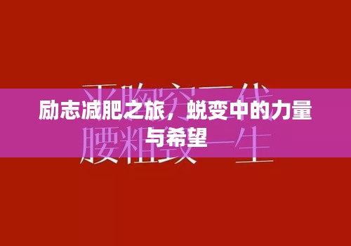 2025年6月 第73頁