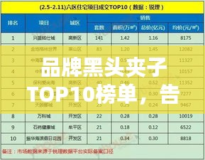 品牌黑頭夾子TOP10榜單，告別黑頭煩惱！