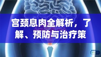 宮頸息肉全解析，了解、預防與治療策略