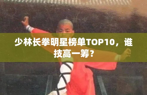 少林長拳明星榜單TOP10，誰技高一籌？