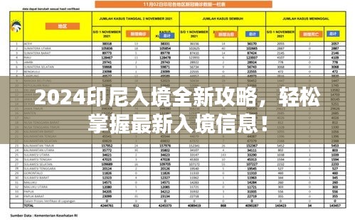 2024印尼入境全新攻略，輕松掌握最新入境信息！