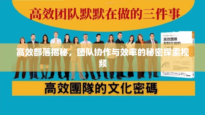 高效部落揭秘，團(tuán)隊(duì)協(xié)作與效率的秘密探索視頻
