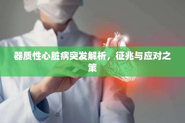 器質(zhì)性心臟病突發(fā)解析，征兆與應(yīng)對(duì)之策