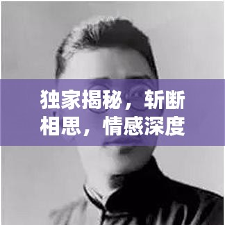 第81頁