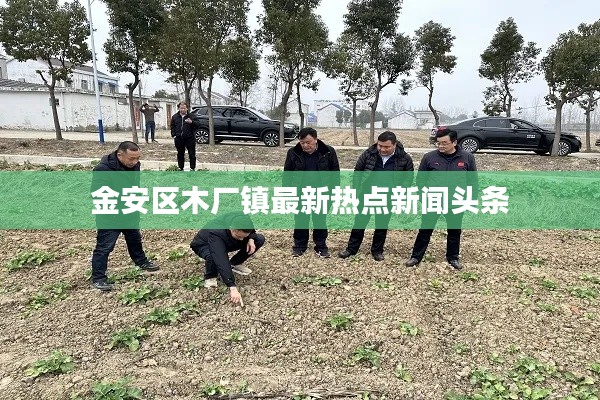 金安區木廠鎮最新熱點新聞頭條