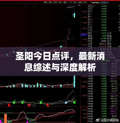 圣陽今日點評，最新消息綜述與深度解析