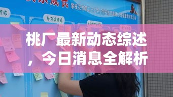 桃廠最新動態綜述，今日消息全解析
