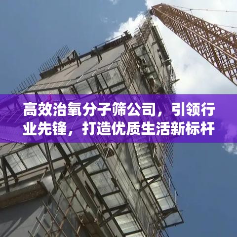 高效治氧分子篩公司，引領行業先鋒，打造優質生活新標桿