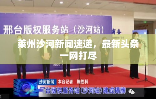 萊州沙河新聞速遞，最新頭條一網打盡