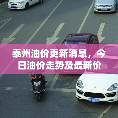 泰州油價更新消息，今日油價走勢及最新價格表全解析