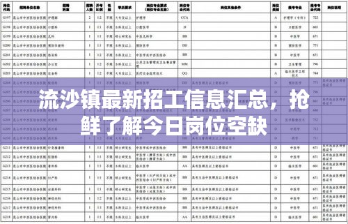 流沙鎮最新招工信息匯總，搶鮮了解今日崗位空缺
